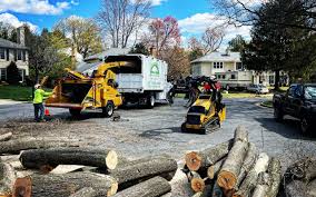 Seasonal Cleanup (Spring/Fall) in Union City, MI